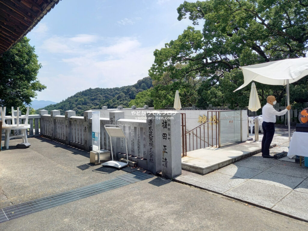 金比羅山の神椿