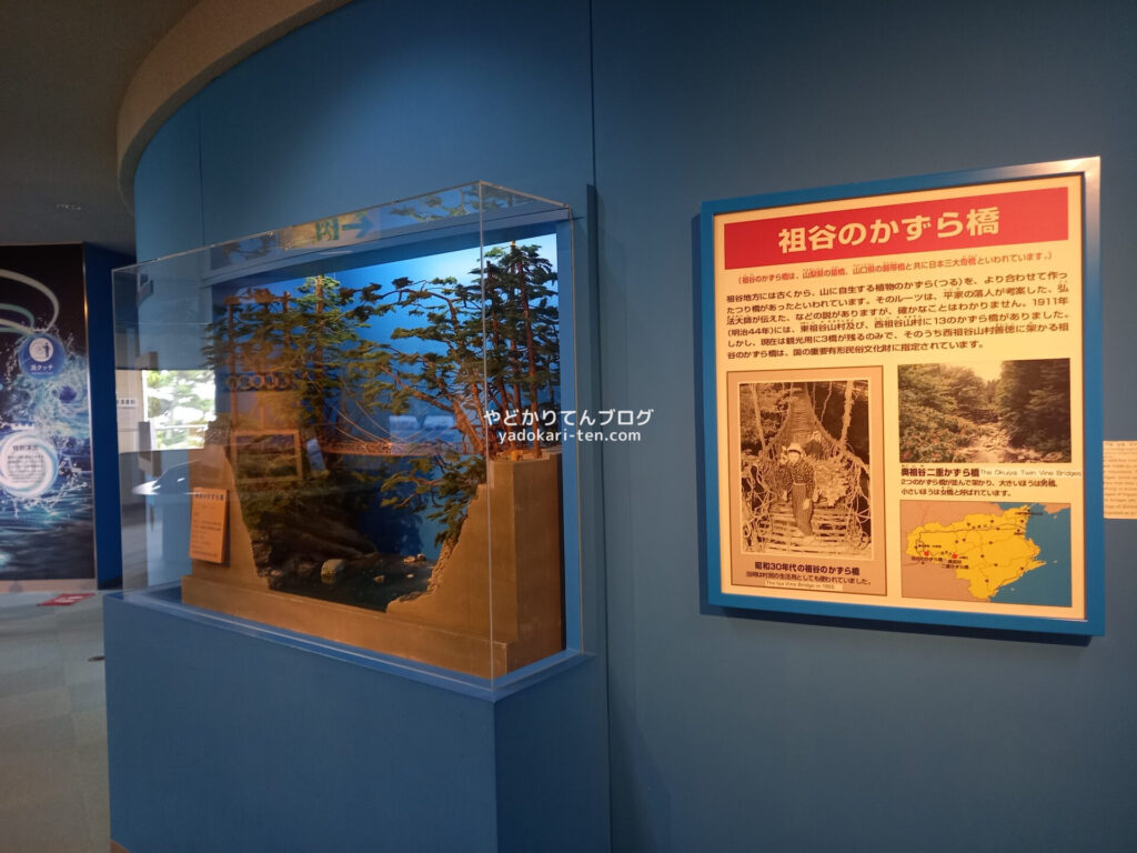 大鳴門橋架橋記念館のかずら橋展示