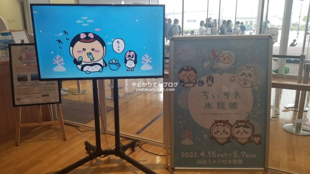 うみの杜水族館ちいかわコラボ