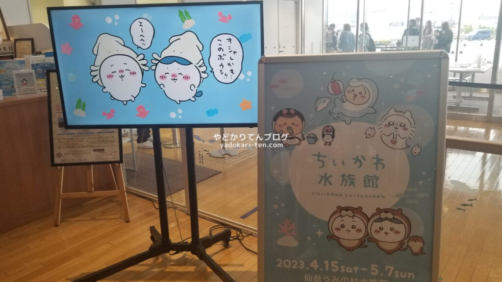 うみの杜水族館ちいかわコラボ