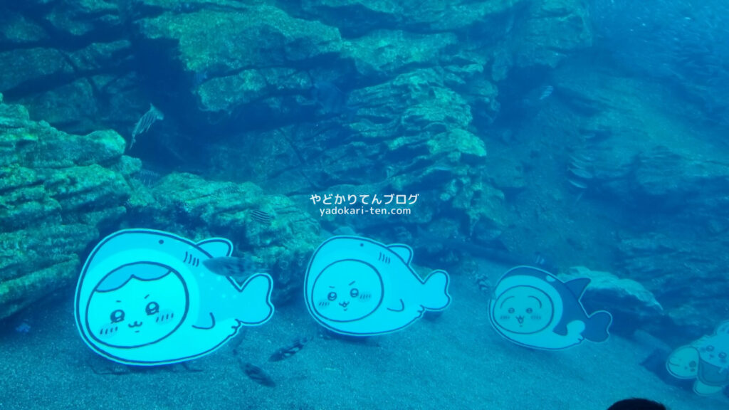 うみの杜水族館ちいかわコラボパネル