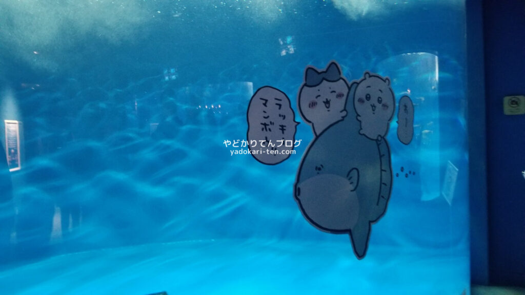 うみの杜水族館ちいかわコラボパネル