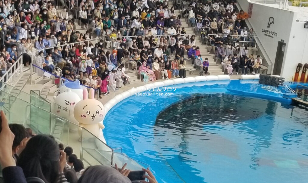 うみの杜水族館ちいかわコラボショー