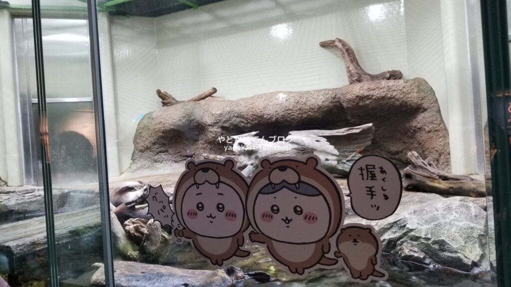 うみの杜水族館ちいかわコラボパネル