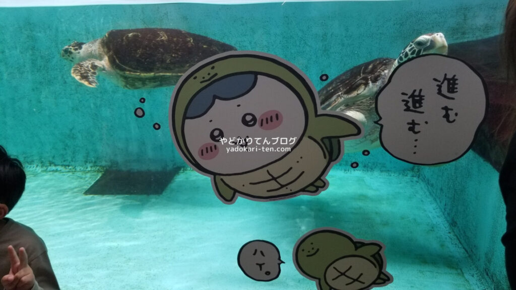 うみの杜水族館ちいかわコラボパネル
