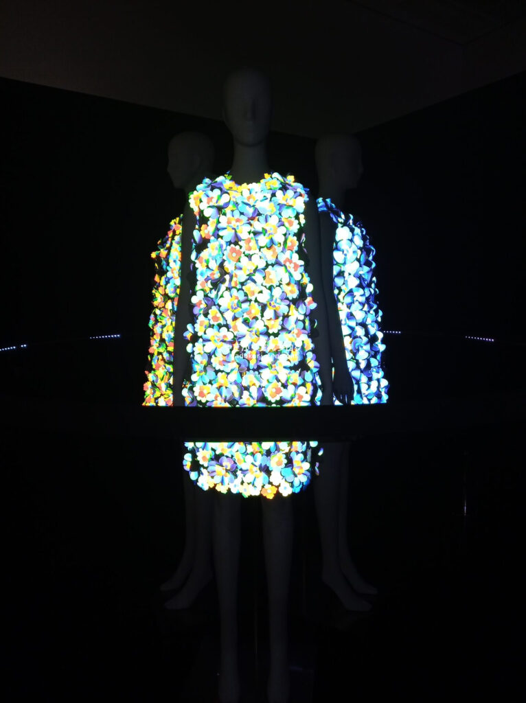 アインシュタイン展