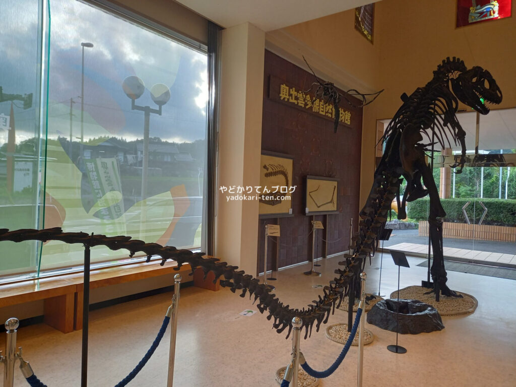 奥出雲多根自然博物館の入り口にある恐竜骨格