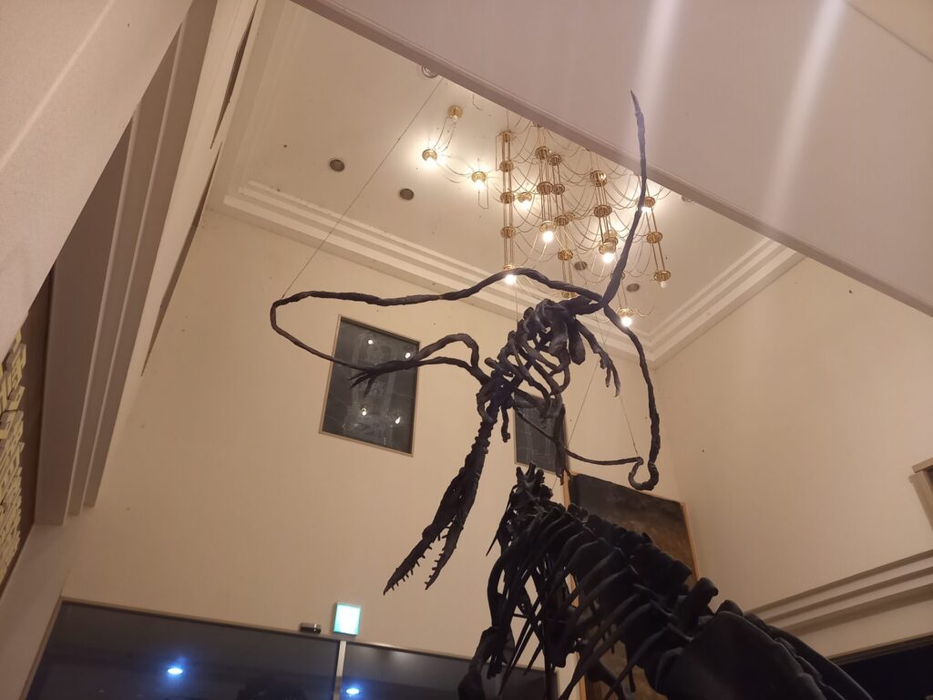 夜の奥出雲多根自然博物館