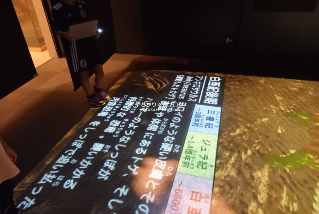 奥出雲多根自然博物館ナイトミュージアムのプロジェクションマッピング