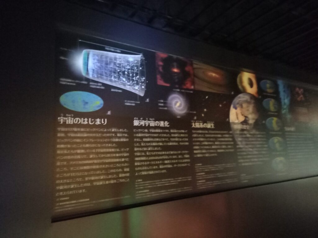 奥出雲多根自然博物館のナイトミュージアムの様子