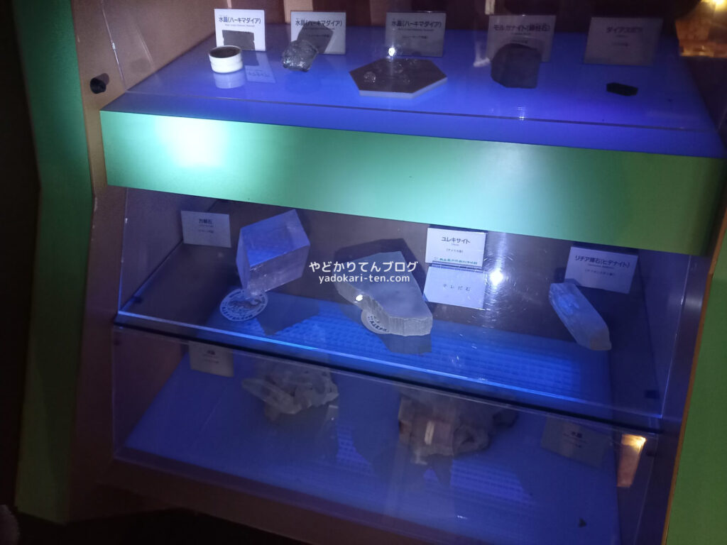 奥出雲多根自然博物館ナイトミュージアムの館内