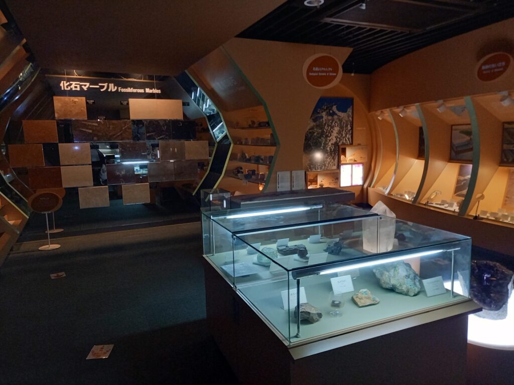 奥出雲多根自然博物館ナイトミュージアムの暗い館内
