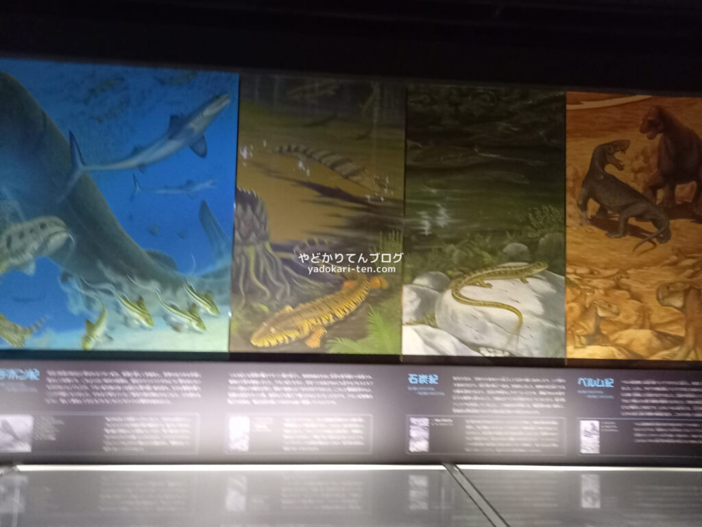 奥出雲多根自然博物館ナイトミュージアムの暗い館内