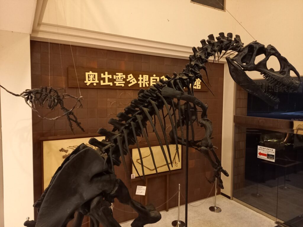 夜の奥出雲多根自然博物館館内