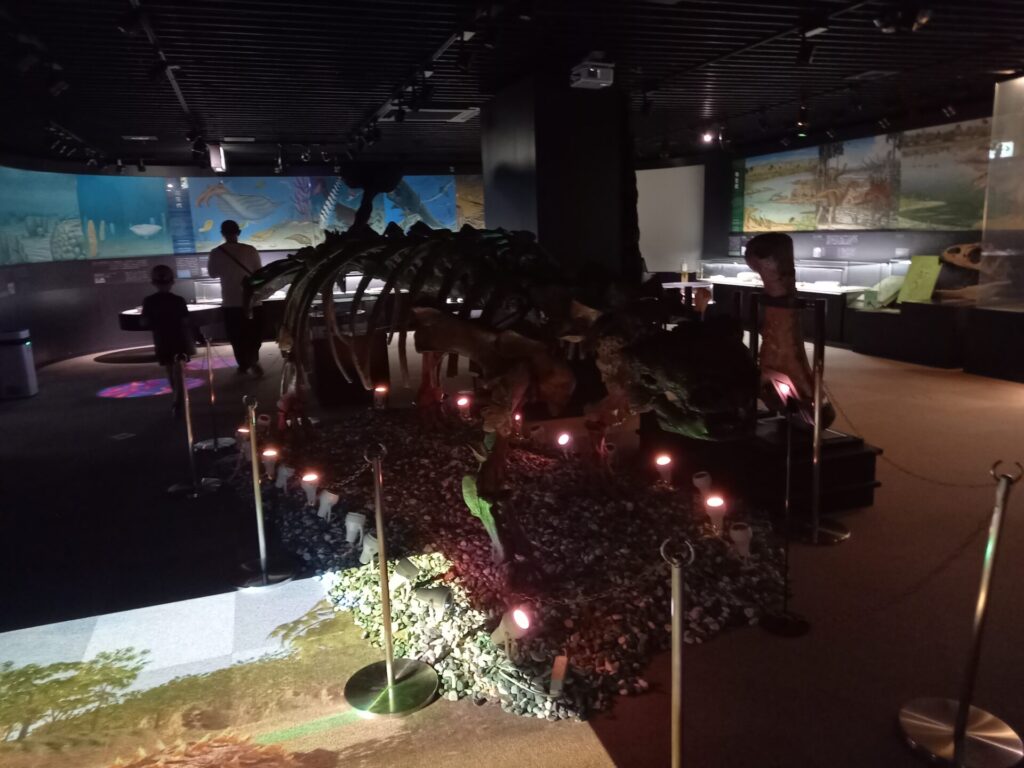 奥出雲多根自然博物館ナイトミュージアムの様子