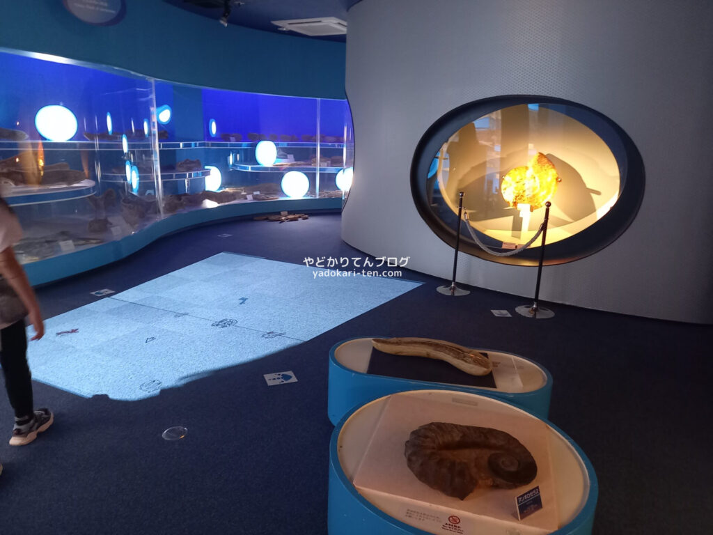 奥出雲多根自然博物館ナイトミュージアムのプロジェクションマッピング