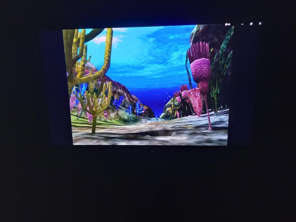 奥出雲多根自然博物館ナイトミュージアムでのゲーム