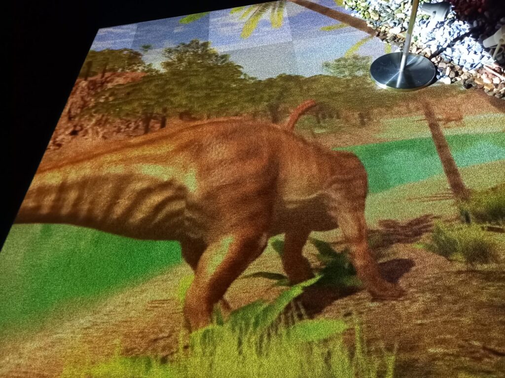 奥出雲多根自然博物館ナイトミュージアムの様子