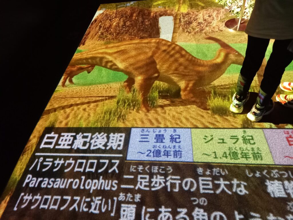 奥出雲多根自然博物館ナイトミュージアムのプロジェクションマッピング