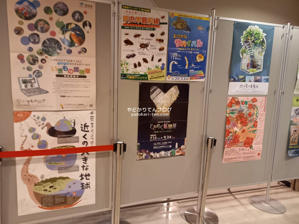 奥出雲多根自然博物館ナイトミュージアムの後の館内