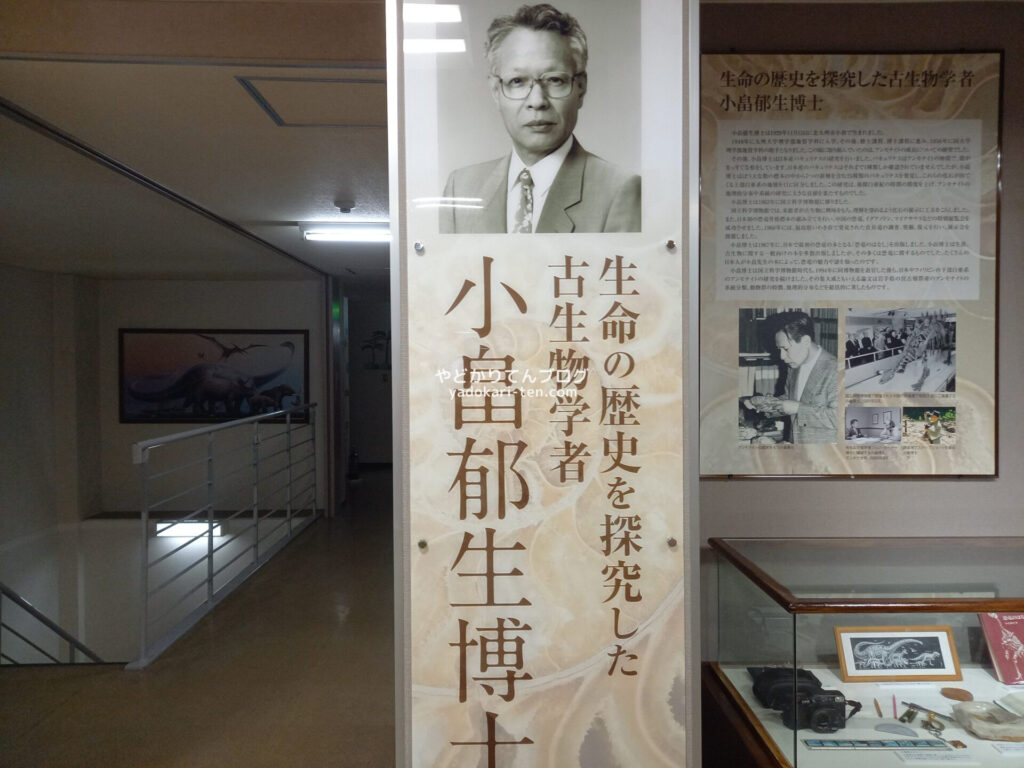 奥出雲多根自然博物館の小畠郁生博士展示