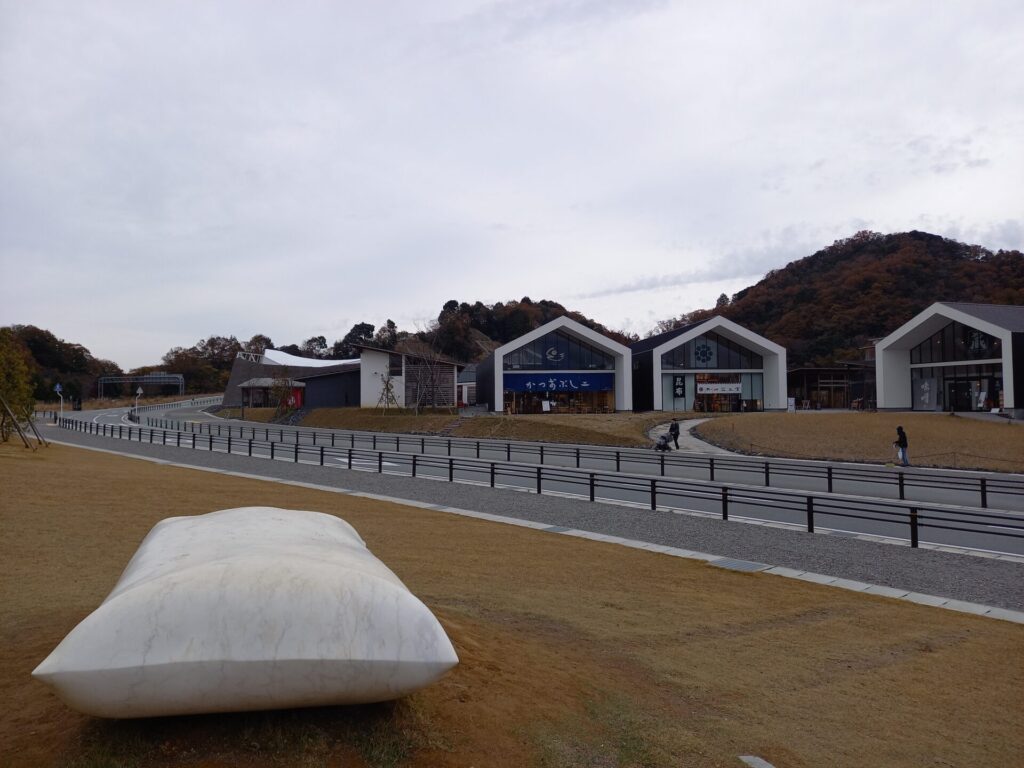 朝のヴィソン