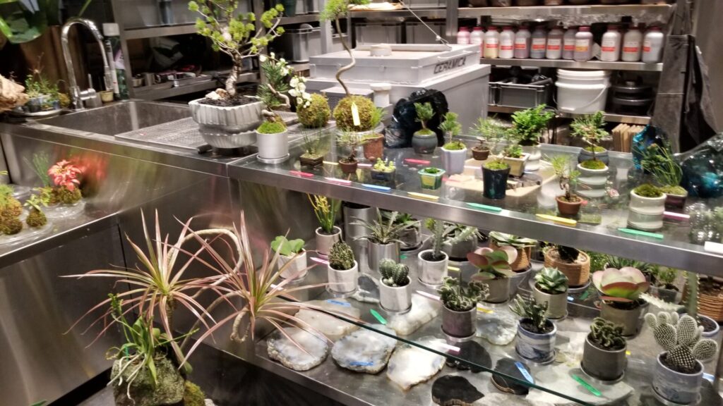 新風館のTHISISSHIZEN