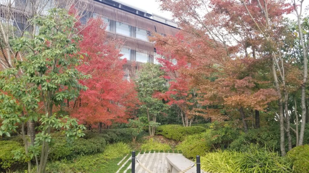 エースホテル京都で紅葉散歩